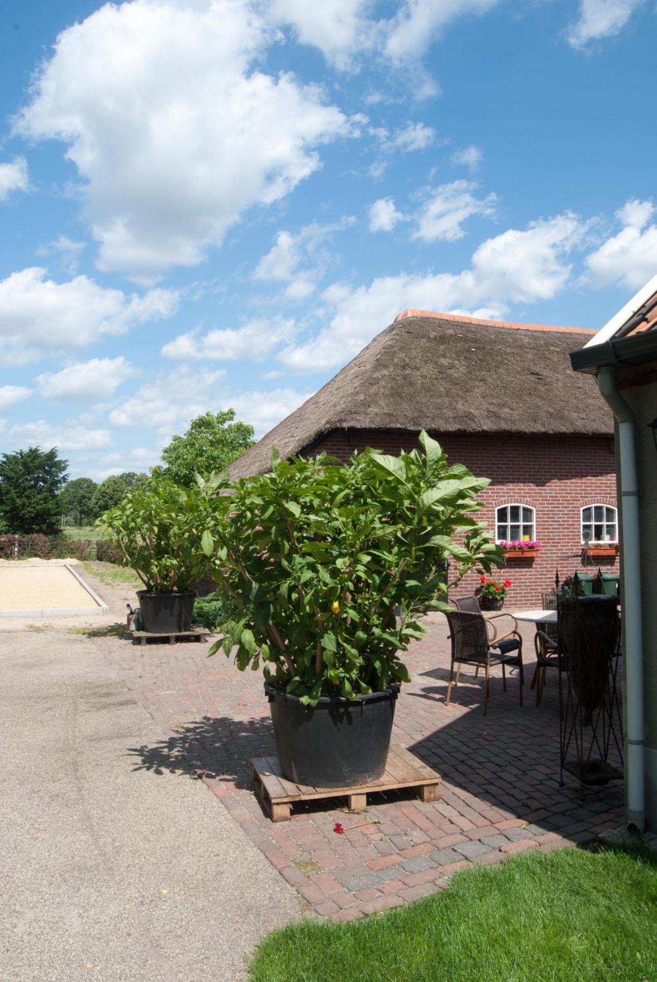 De Martiene Plats - Bed & Breakfast Merselo Dış mekan fotoğraf